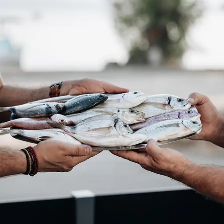 Filippos Apartamento *