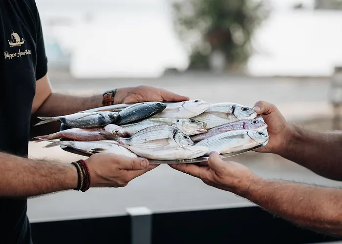 Filippos Apartamento *